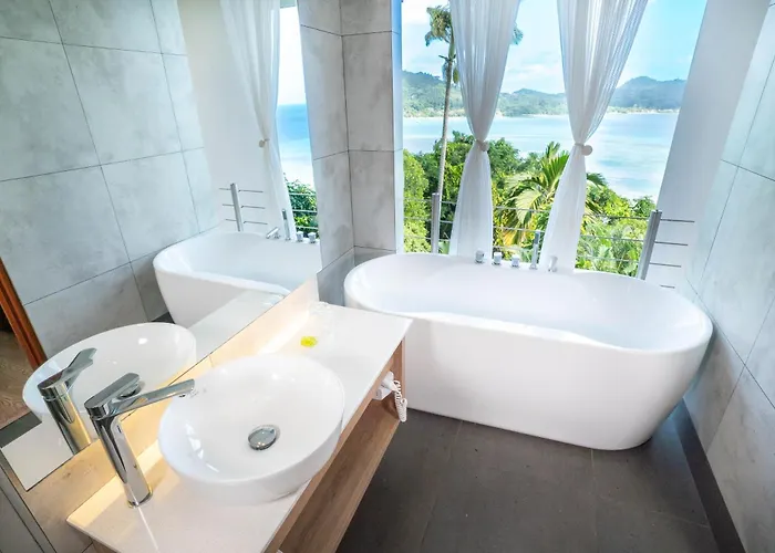 Kiki Seychelles Anse a La Mouche