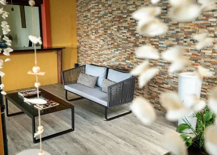 Kiki Seychelles Couette-café Anse a La Mouche